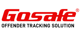 Go Safe Logo