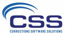 CSS Logo