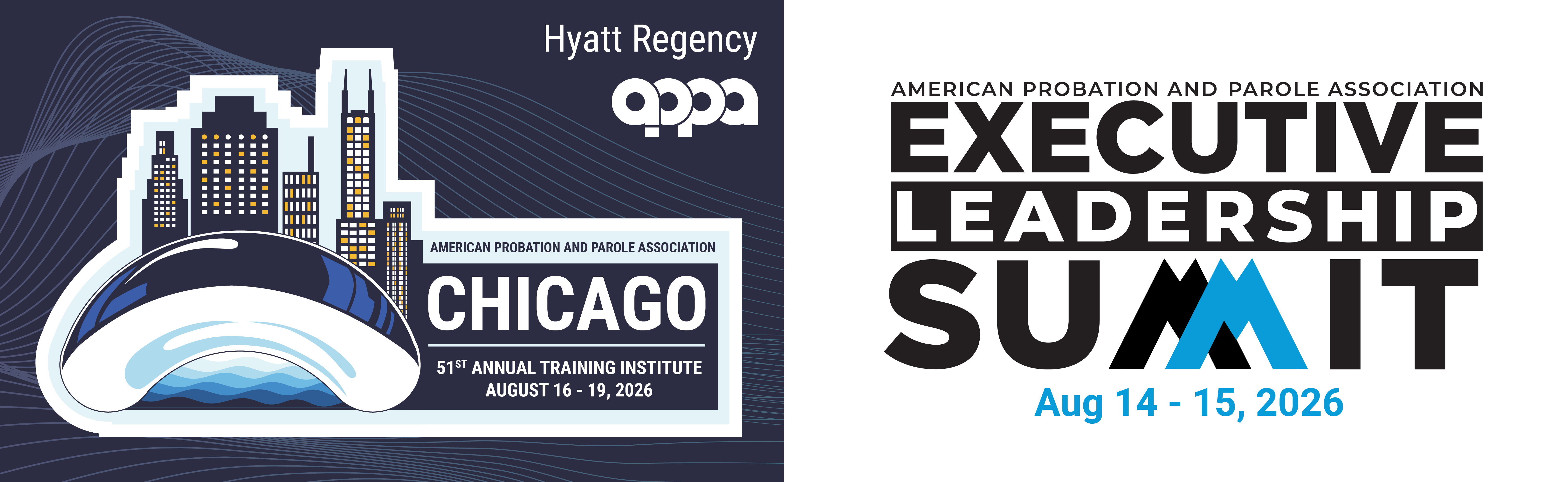 Visit the website for the 51st Annual Training Institute / Executive Summit - Chicago