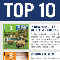 image of Indy Top 10 Flyer