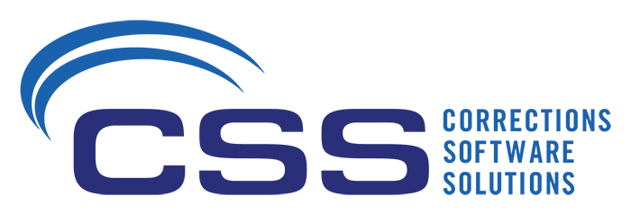 CSS Logo